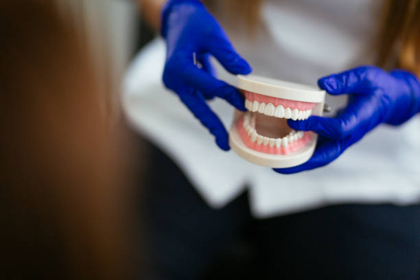 Best Pediatric Dentistry  in Sheffield, OH